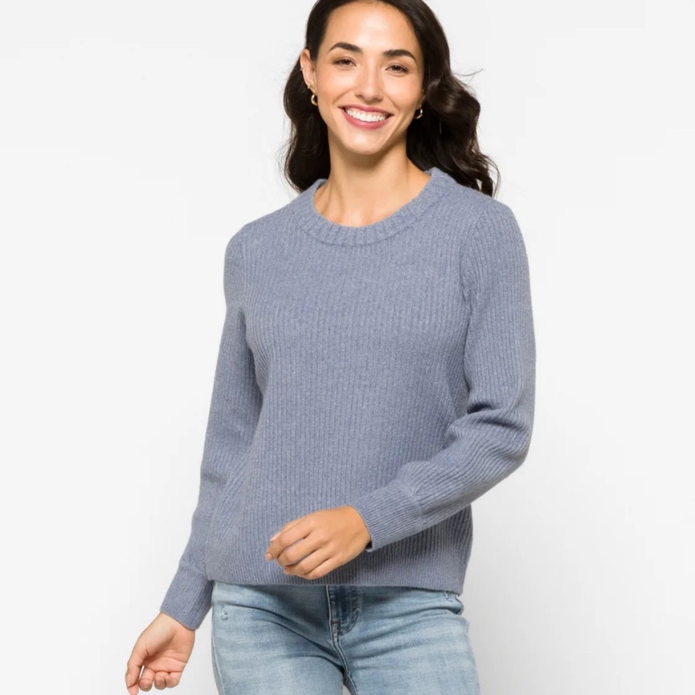 Market & Spruce Aspen Cropped Blouson Sleeve Sweater